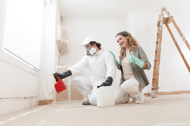 Best Mold Removal for HVAC Installations  in Three Rivers, CA